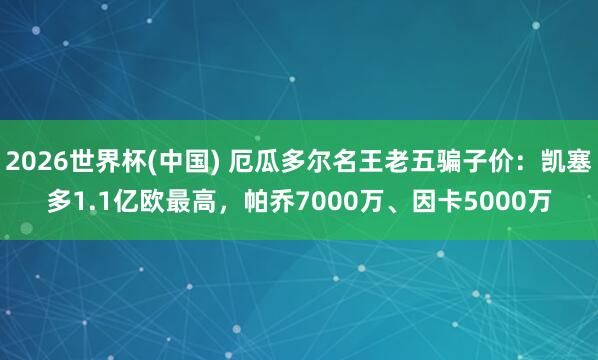 2026世界杯(中国) 厄瓜多尔名王老五骗子价：凯塞多1